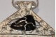 Collana Piceno