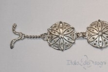 Collana Piceno