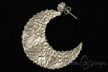 Collana Piceno