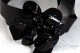 Women’s leather belt