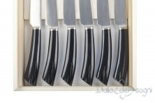 6 piece Rustic steak knives, black resin